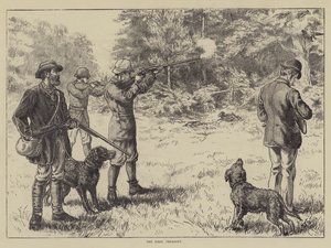 El primer faisán
